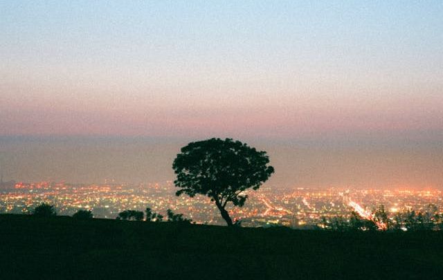 Peaceful assisted living residence serving seniors near Chino Hills and Pomona California
